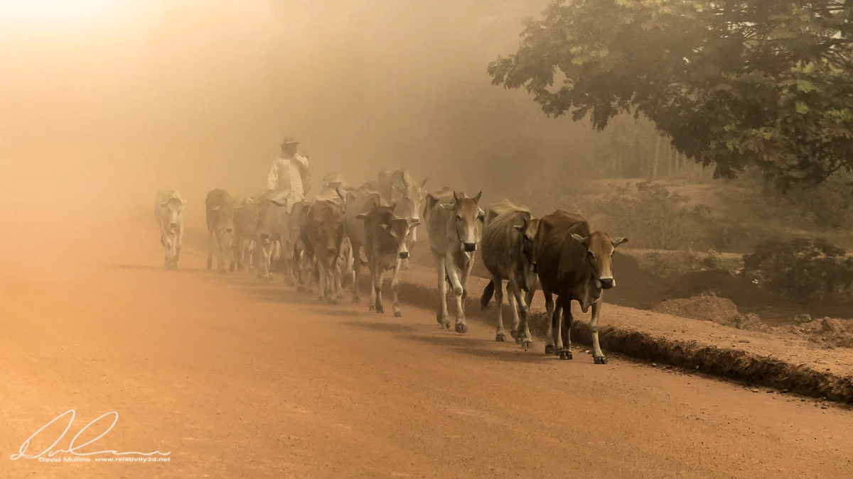 Dusty road.jpg