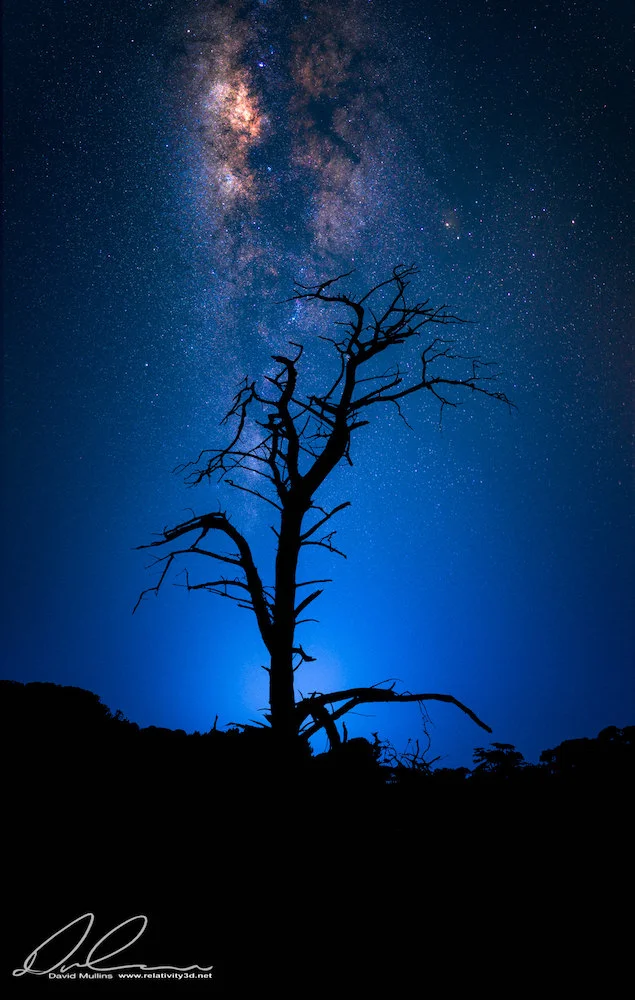 Point Cook Homestead Milkyway