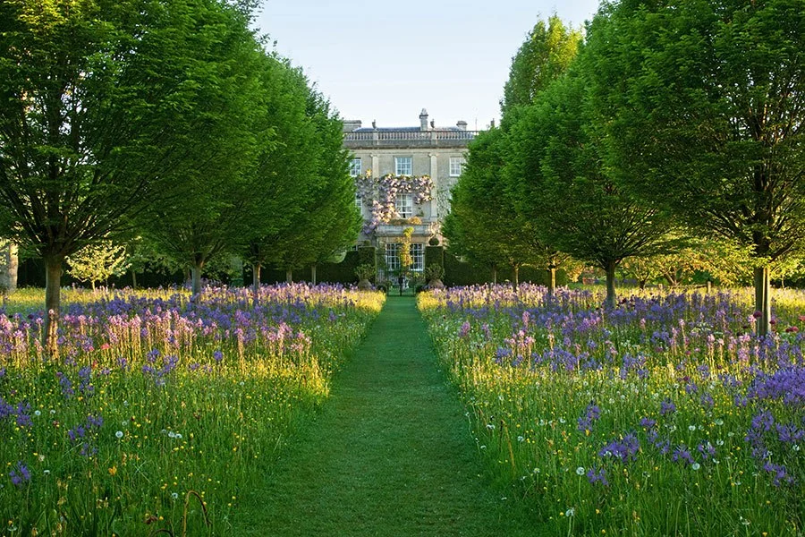 rose & ivy journal high grove garden