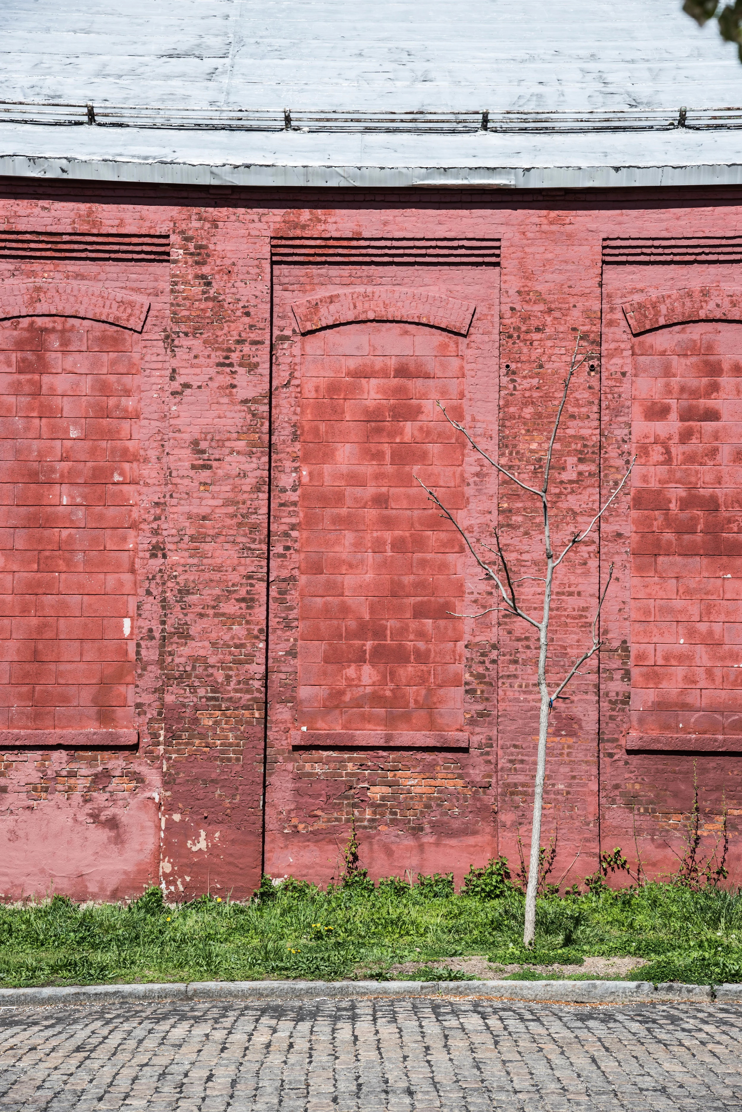 DSC_0649.jpg