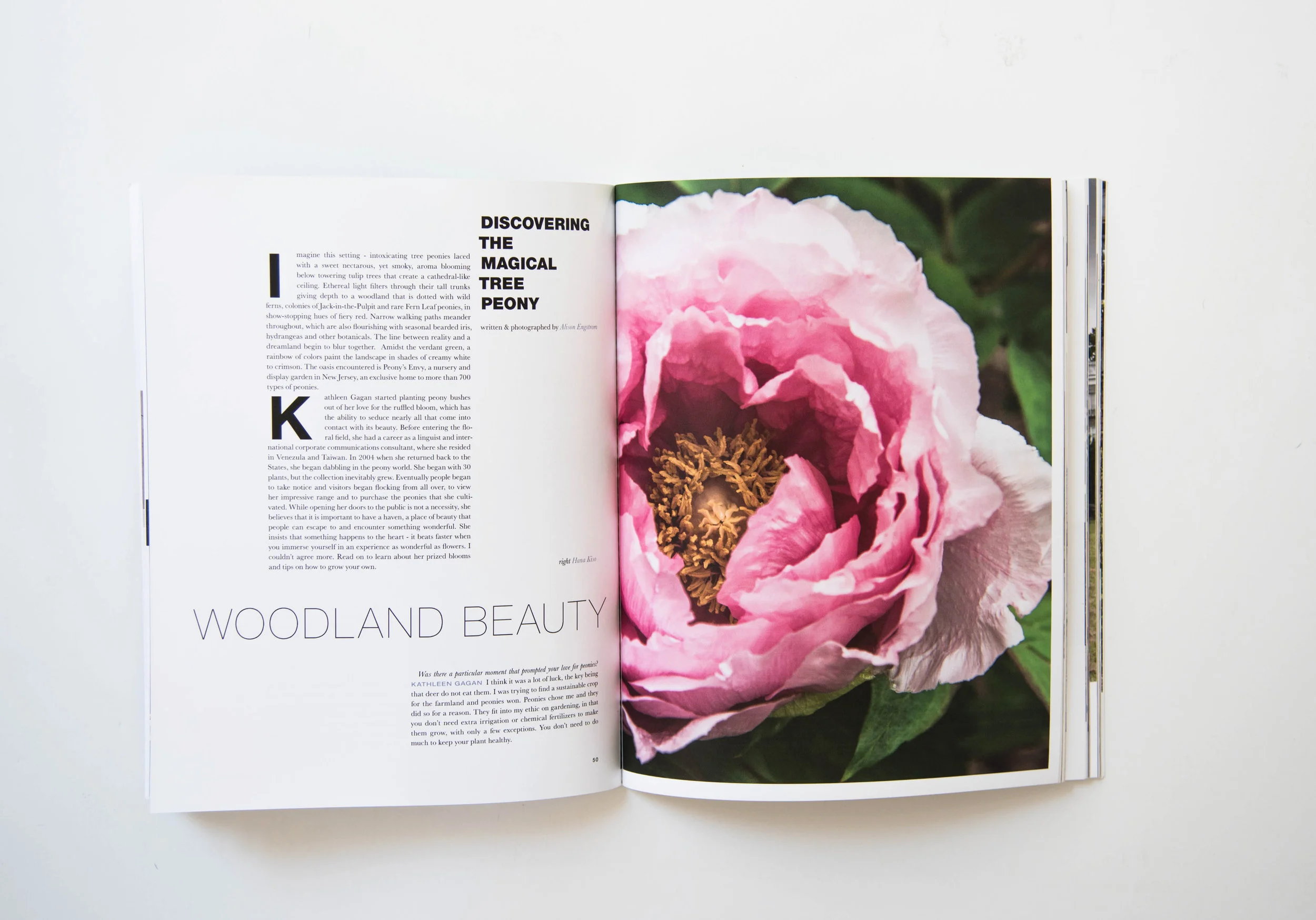 ROSE & IVY Journal Issue No. 06 Now In Print!