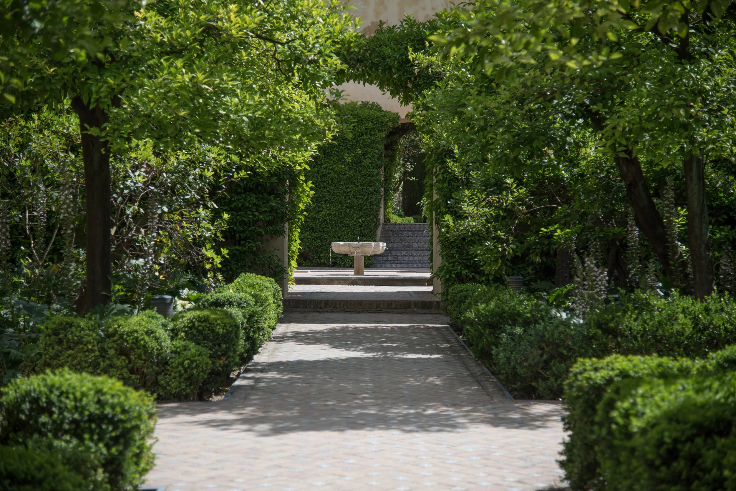 ROSE & IVY Journal Garden Dreamer | The Alcázar  & Gardens Seville, Spain