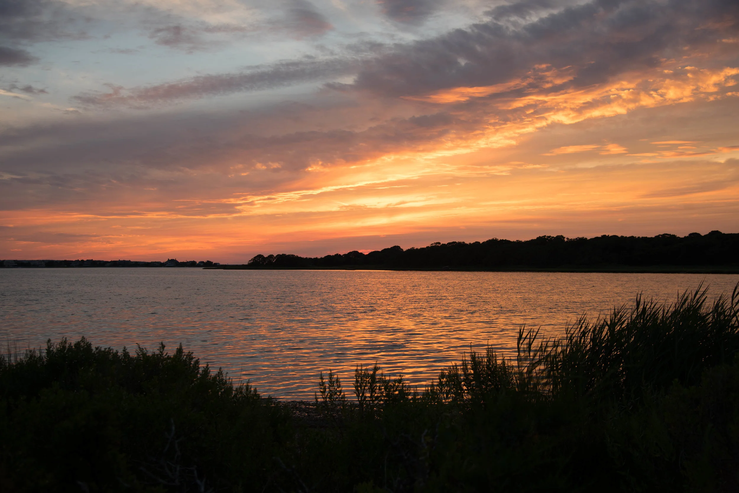 DSC_7215.jpg
