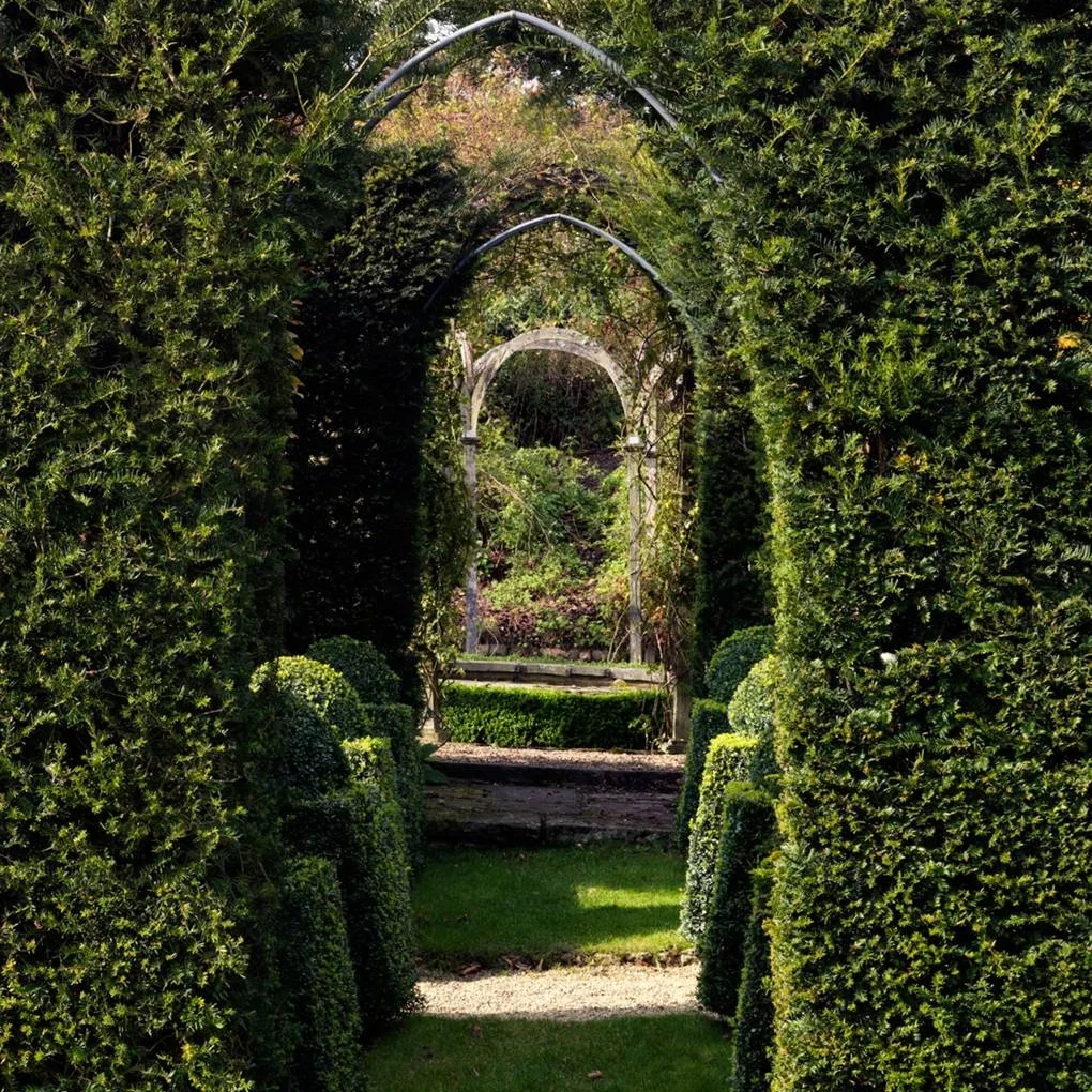 Garden Dreamer | A Garden Where Topiaries Are The Star
