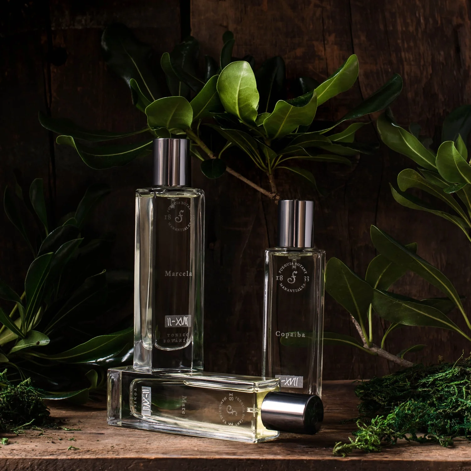 Brand to Know | Fueguia 1833