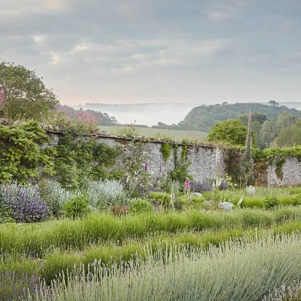 Garden Dreamer | An Enchanting Garden in Devon, England