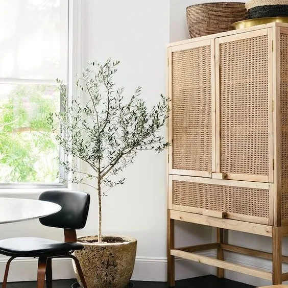 The Material | Rattan + Get the Look