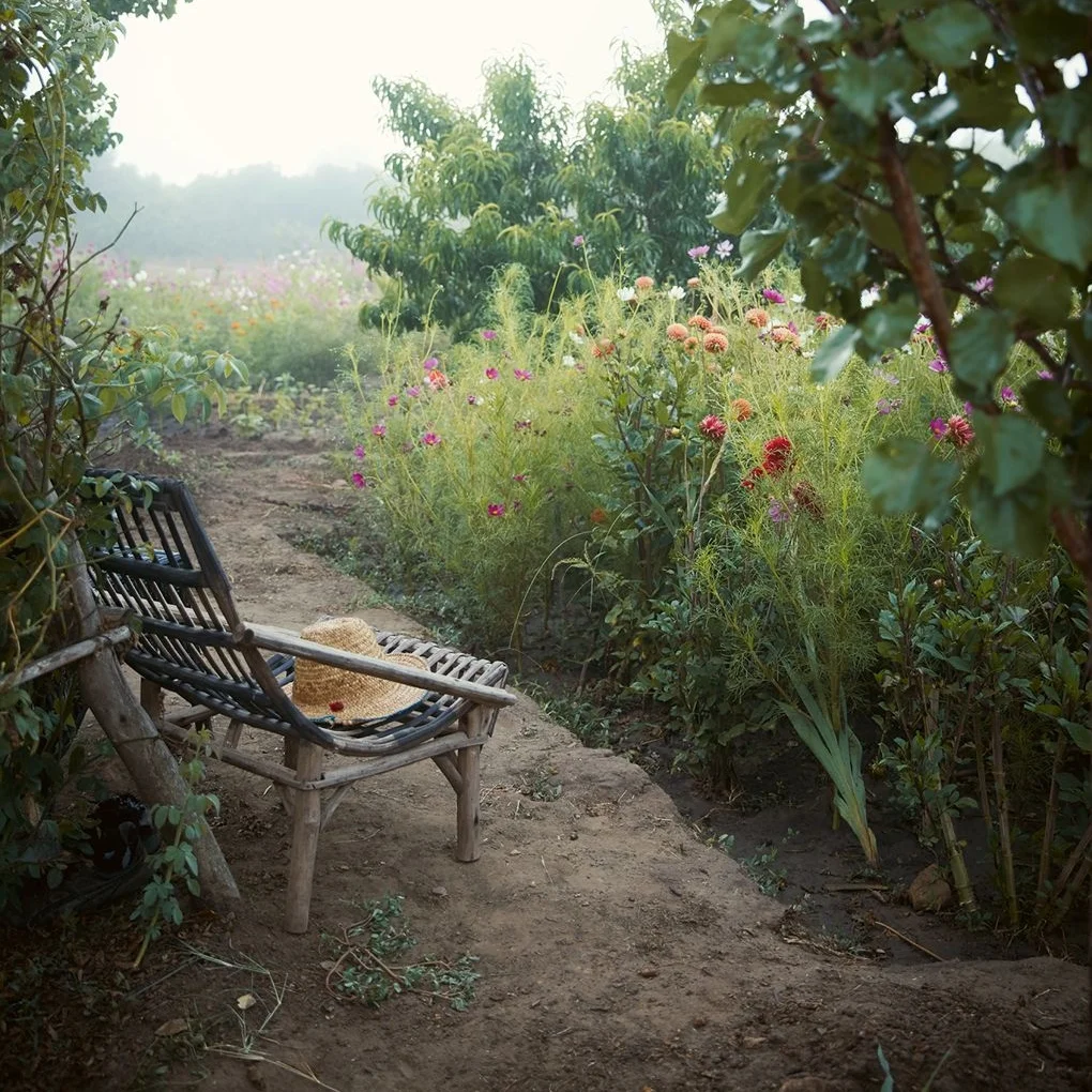 Garden Dreamer | A Magical Moroccan Garden 