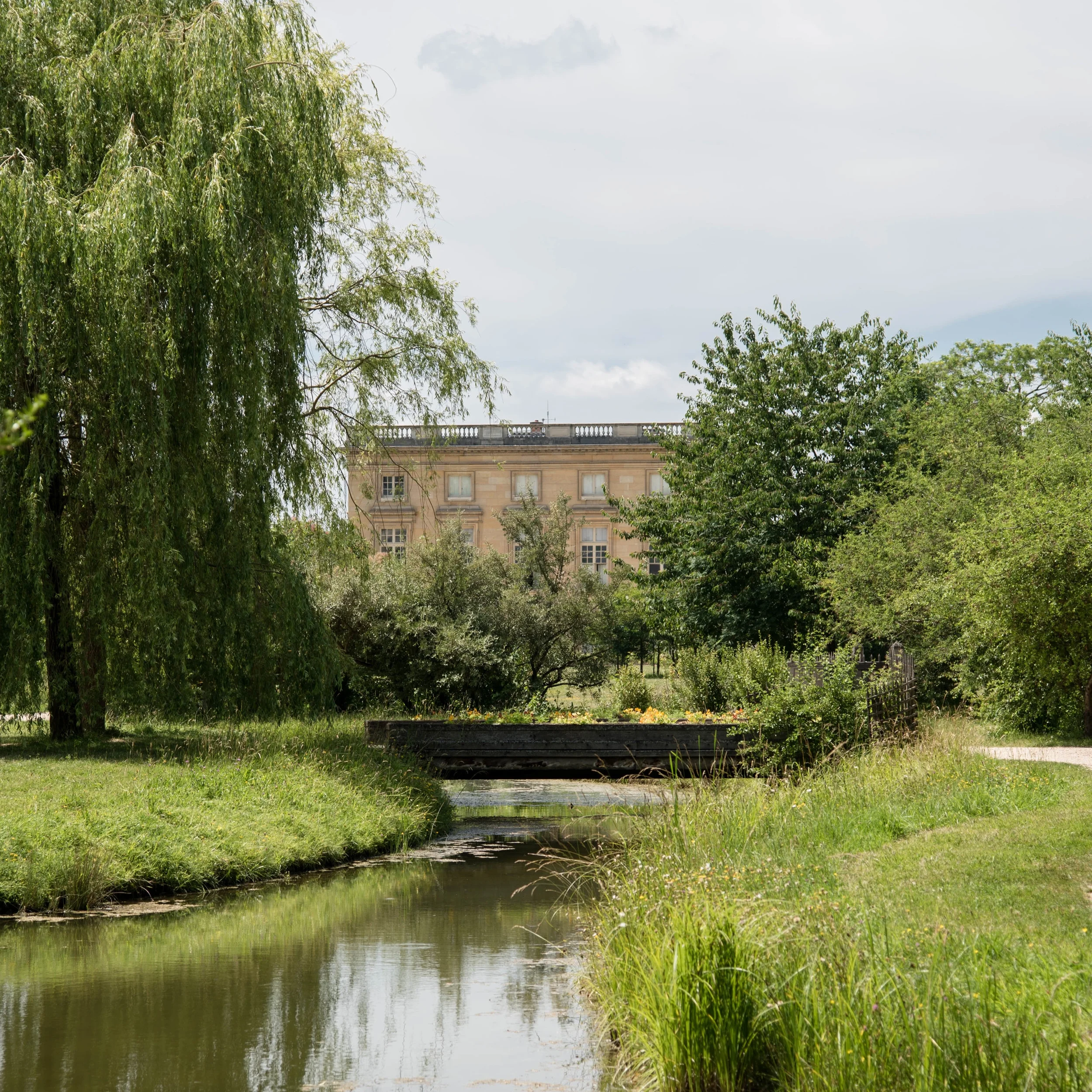 Garden Dreamer | Solitude Among the Beauty of Versailles 