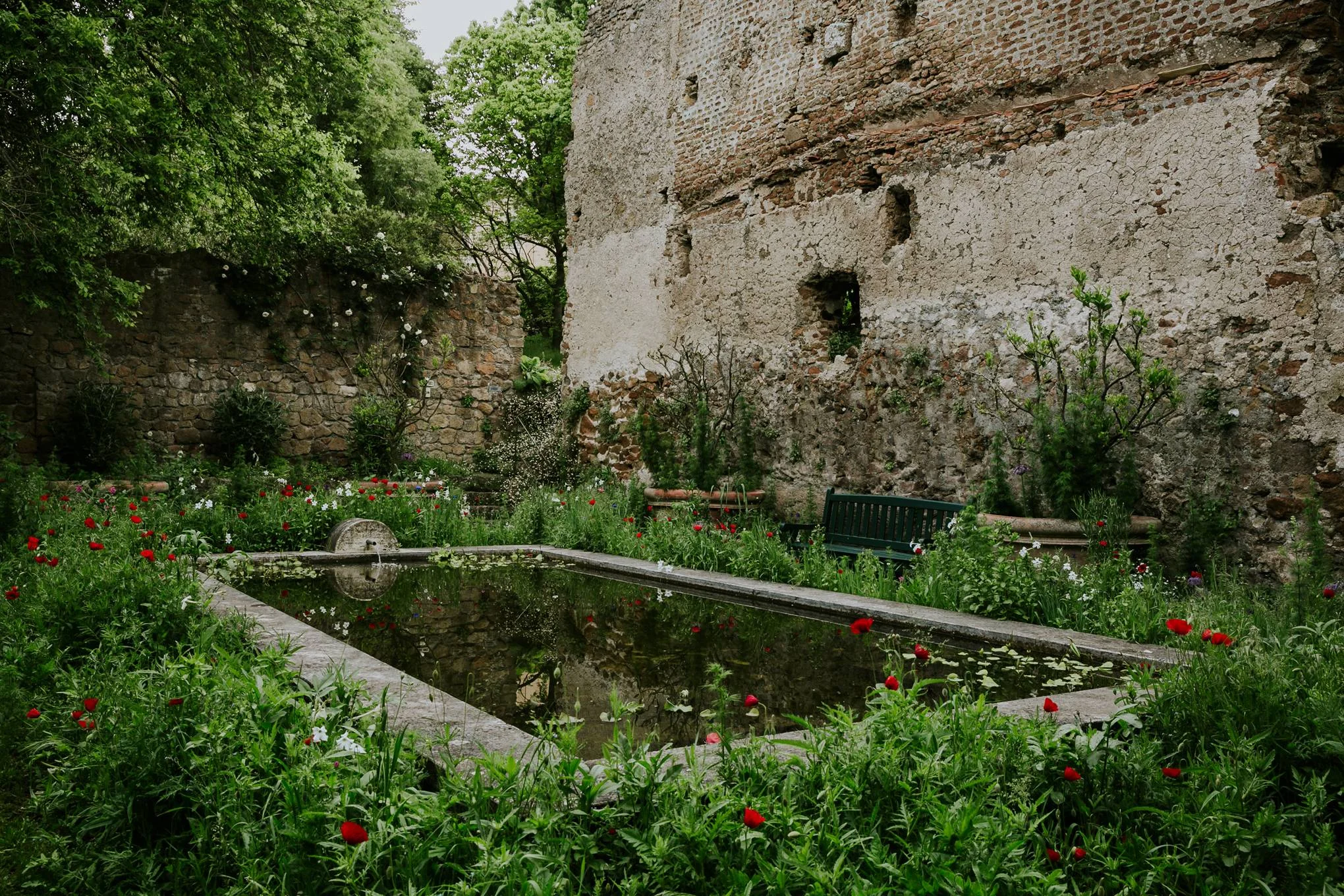 Garden Dreamer | An Enchanting Roman Garden 