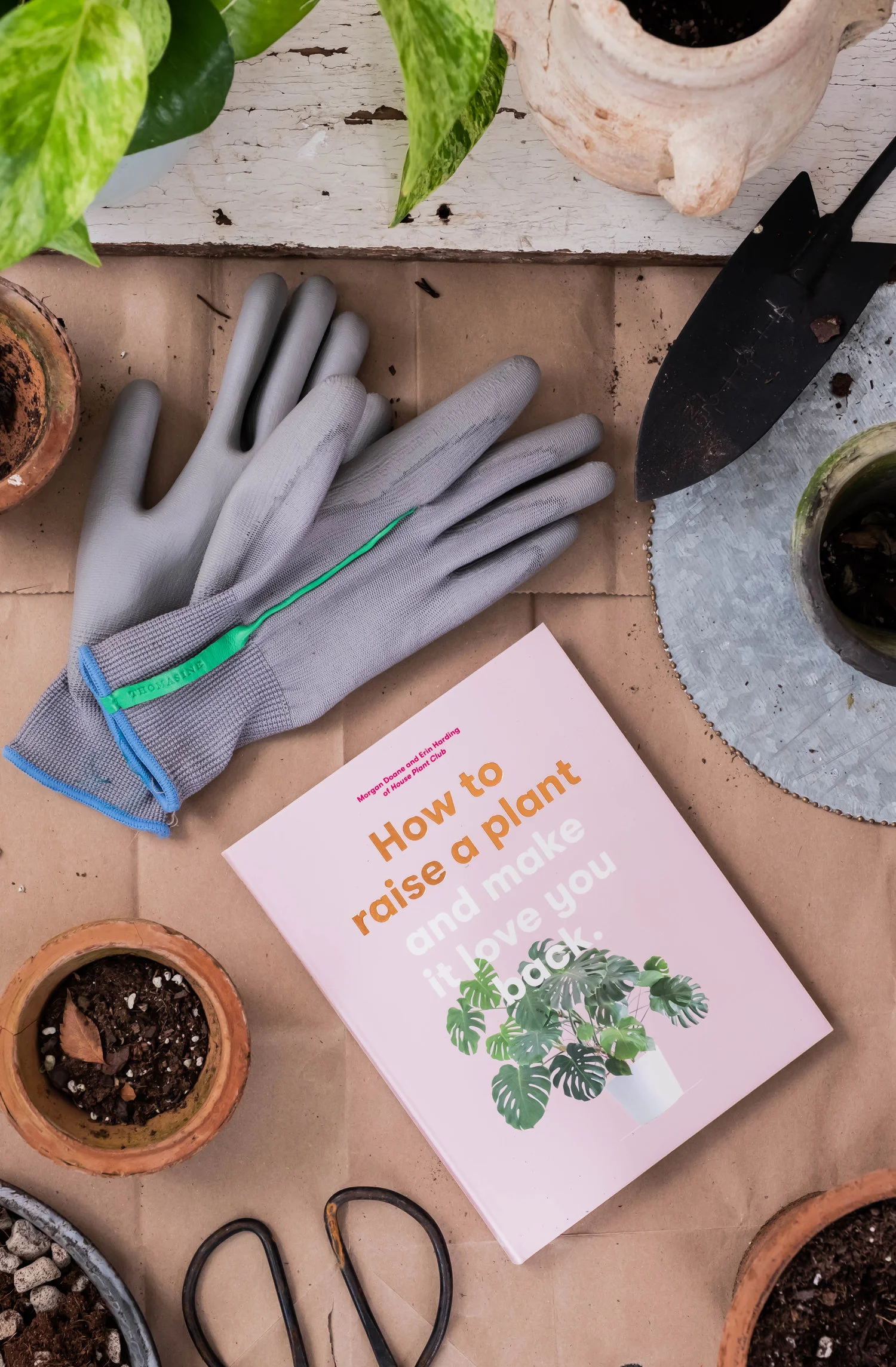 ROSE & IVY Journal Holiday Gifting Help Them Cultivate a Green Thumb Plants Make People Happy.jpeg