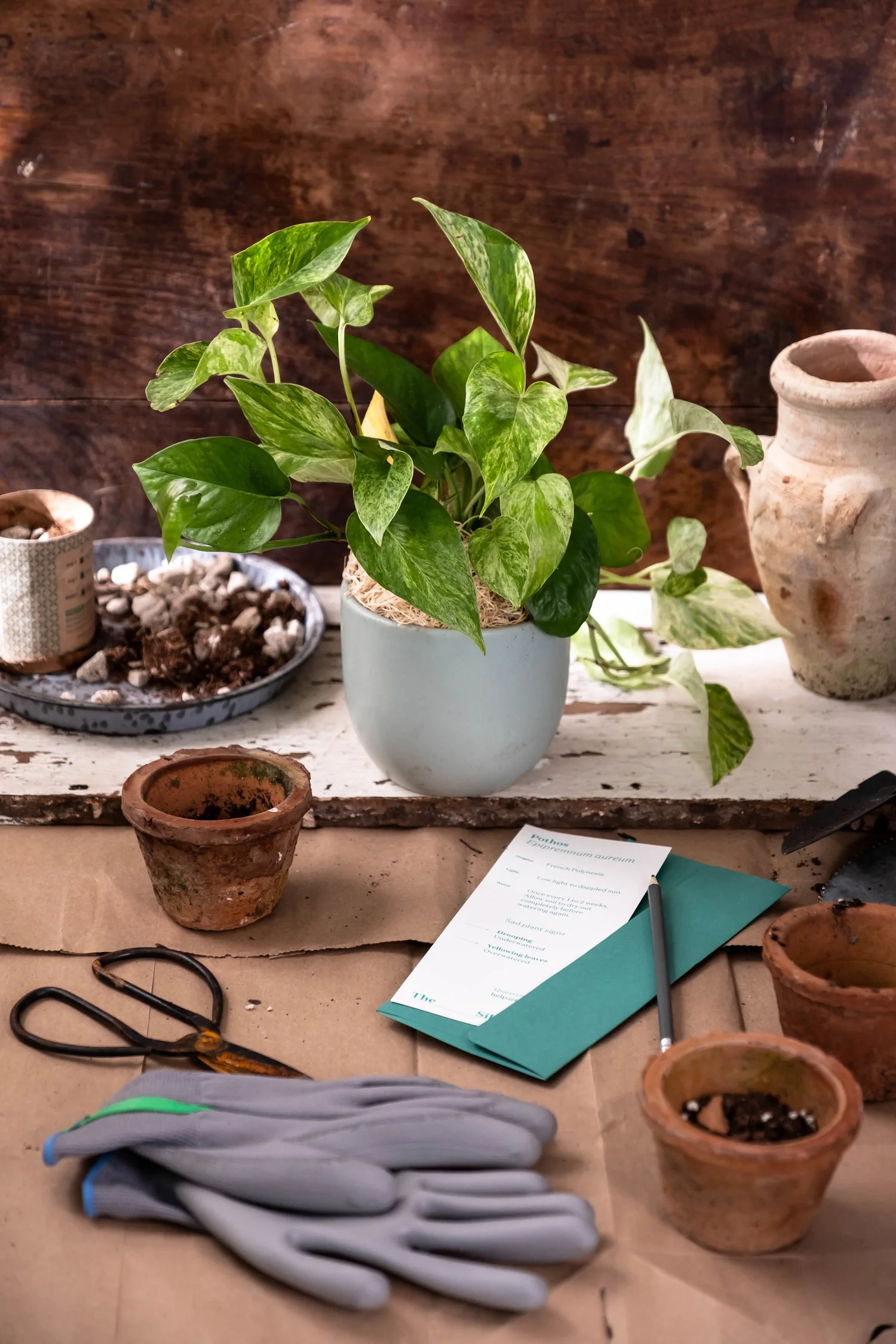 Holiday Gifting | Help Them Cultivate a Green Thumb