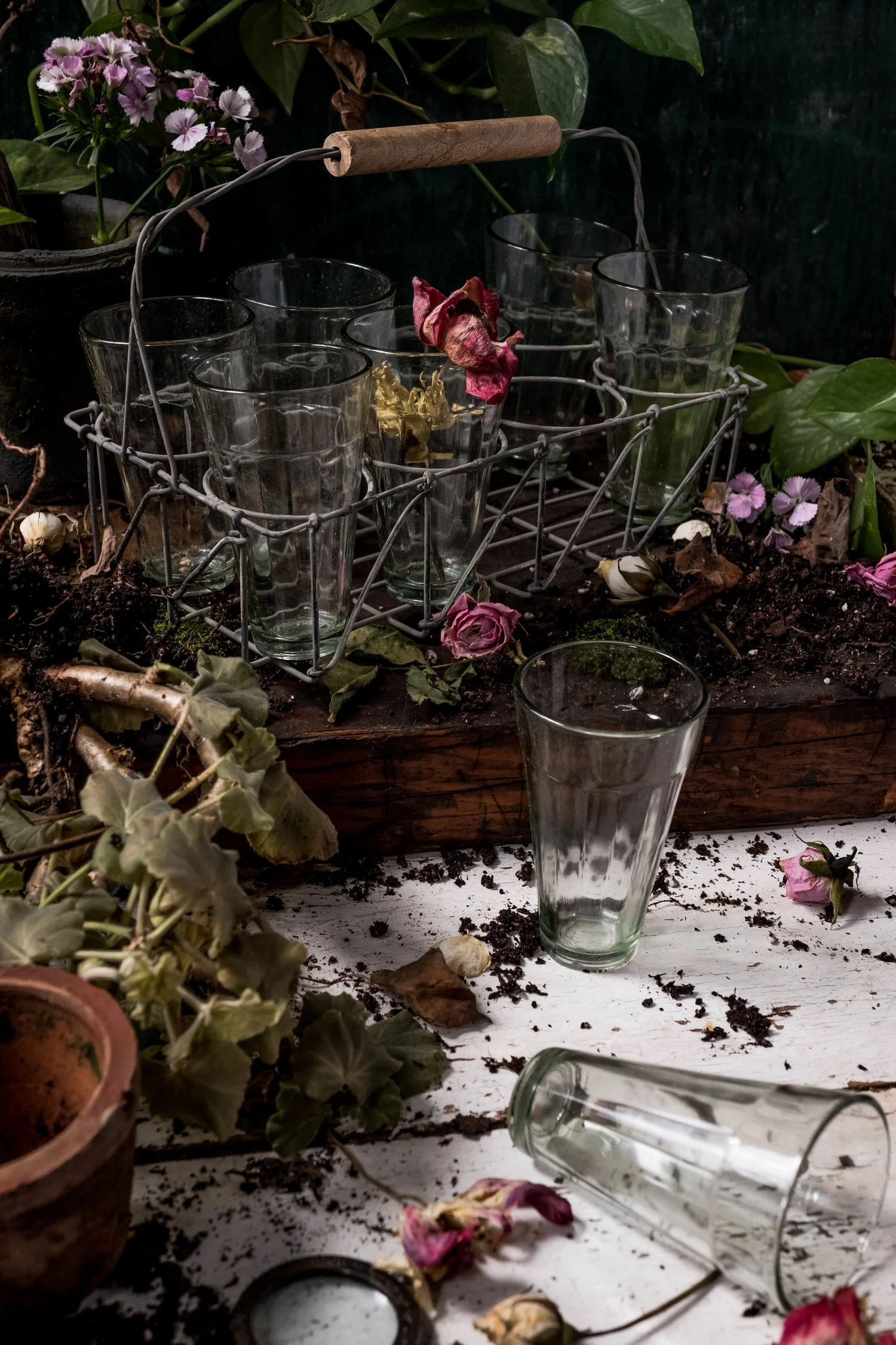 Holiday Gifting | Romantic Blooms 