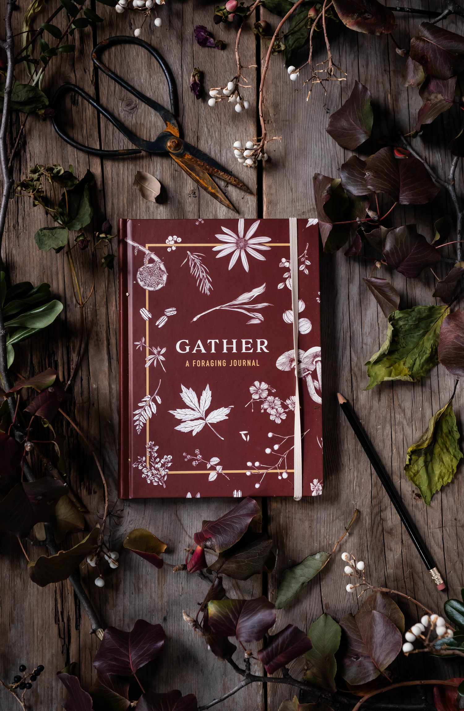 ROSE+&+IVY+Journal+Holiday+Gifting+Gather-+A+Foraging+Journal.jpeg