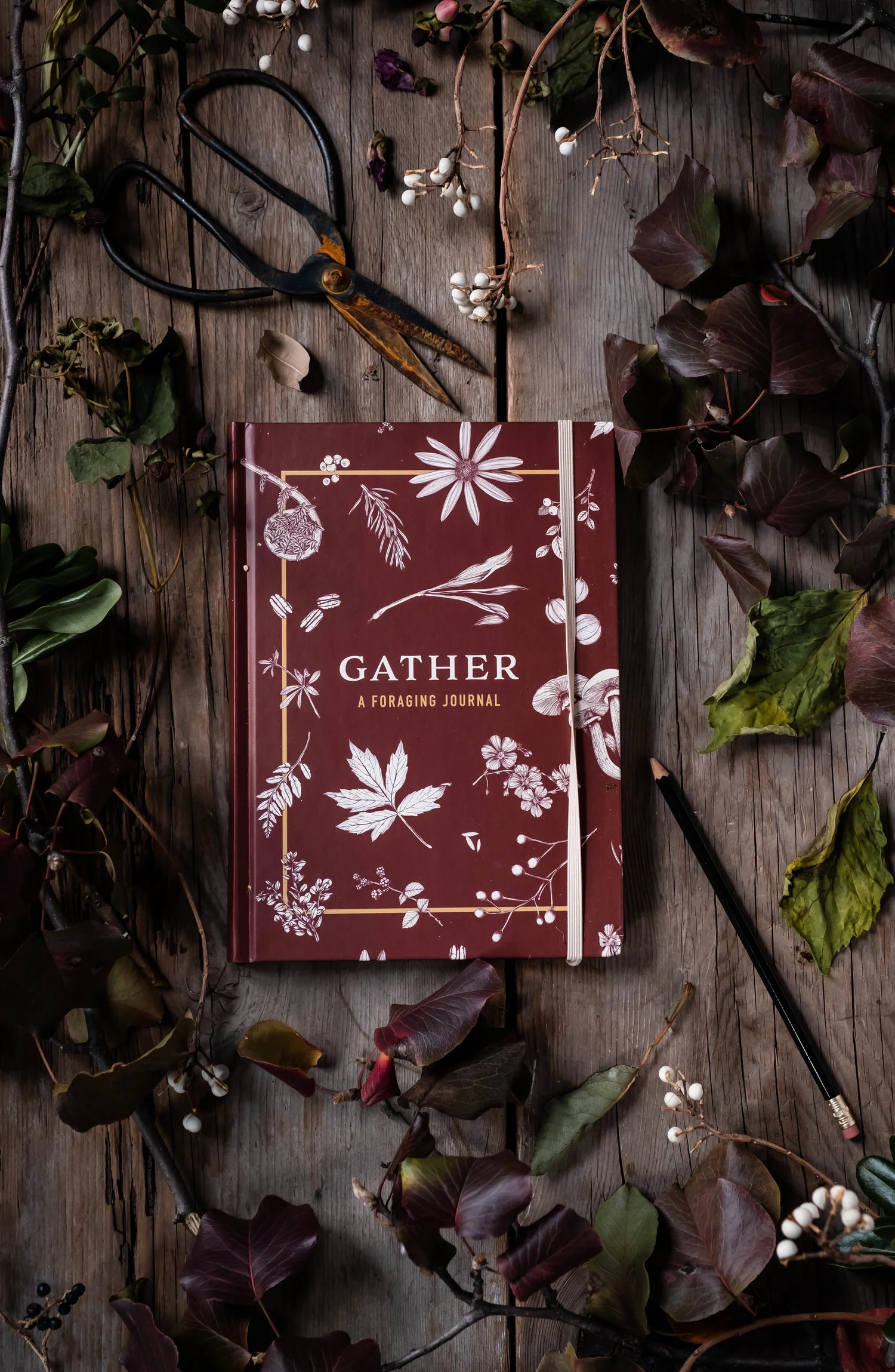 Holiday Gifting | Connecting to Nature