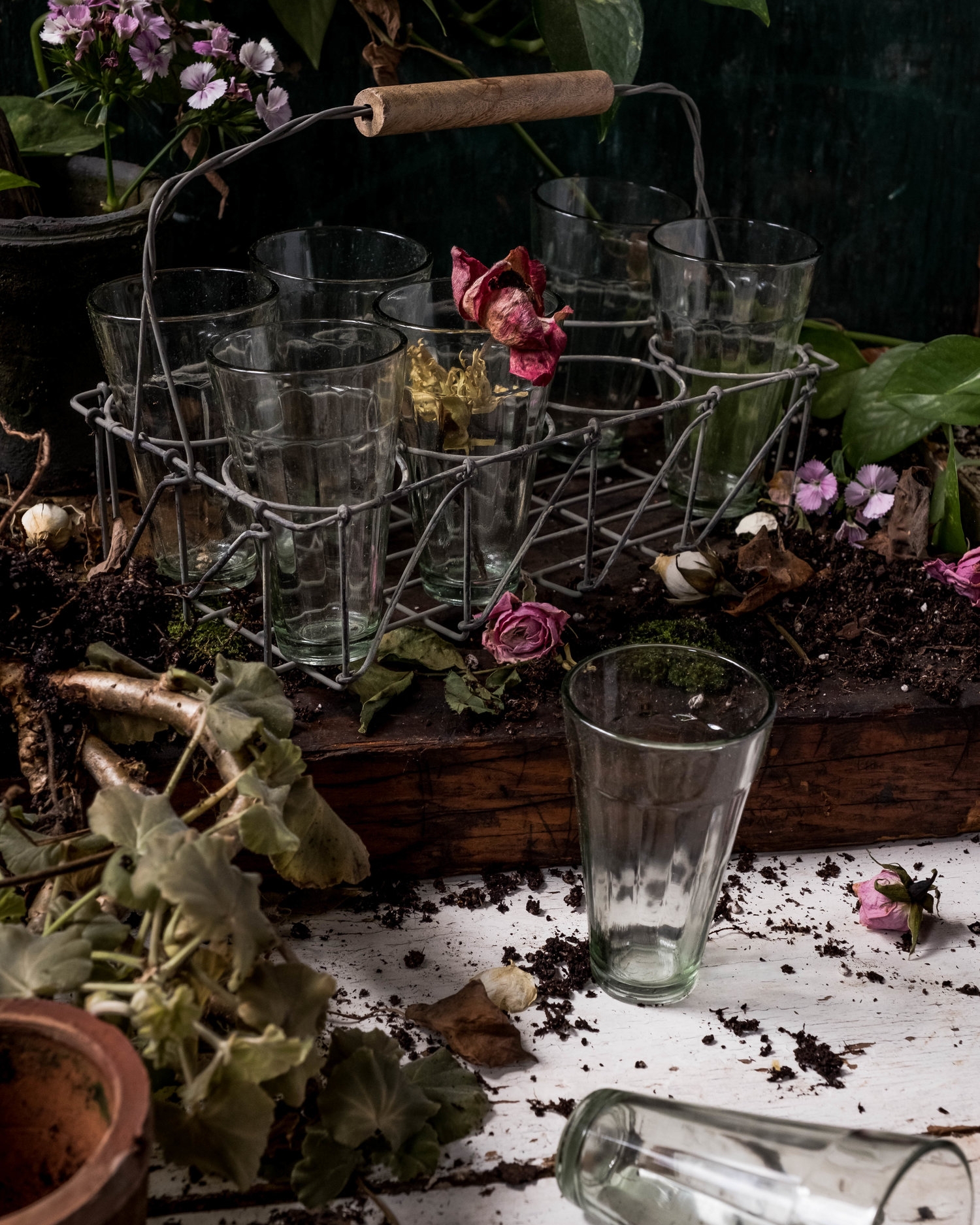 ROSE+&+IVY+Journal+Holiday+Gifting+Flowers+&+Botanicals+Caravan+Home.jpg