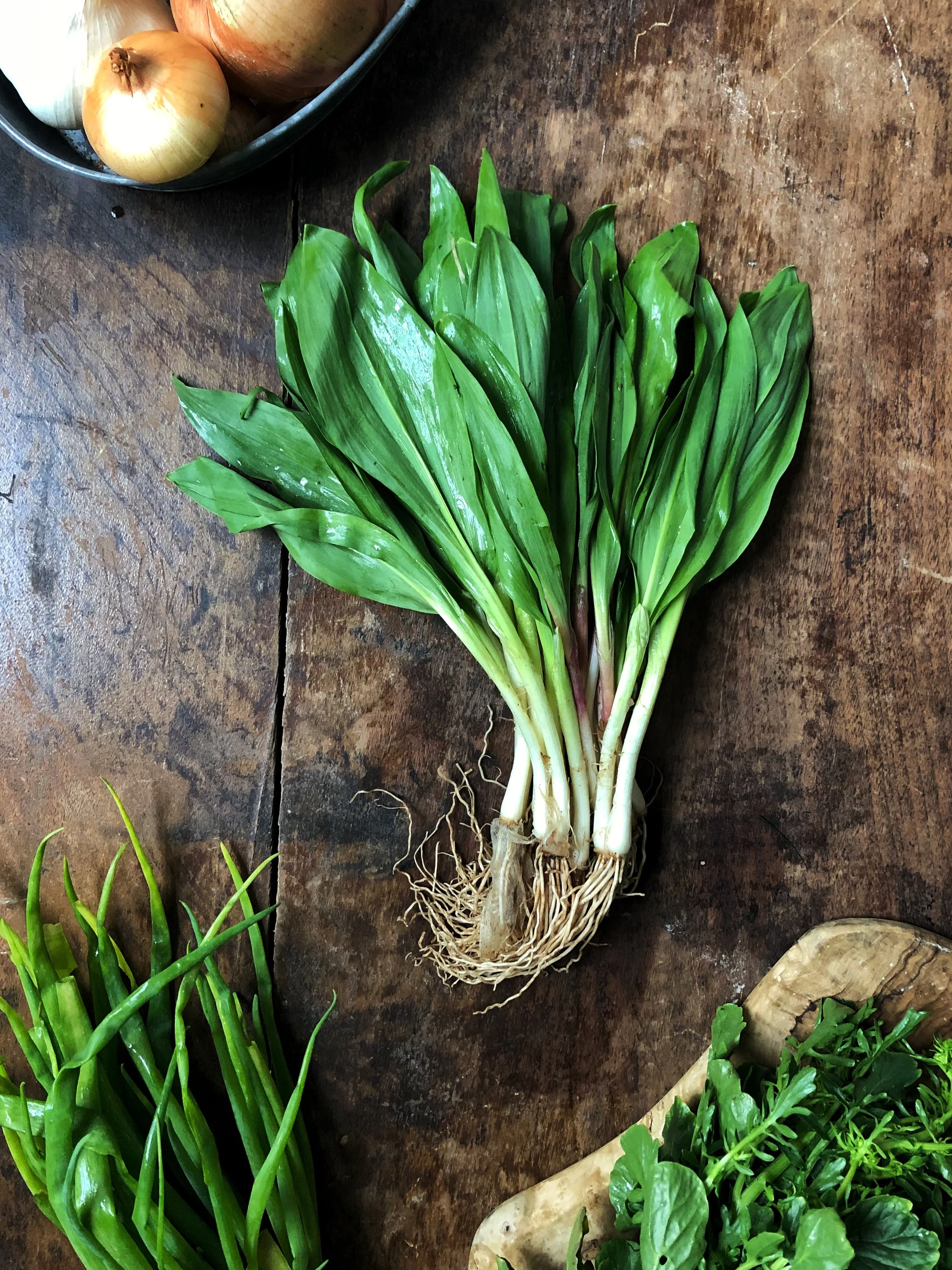 Spring Greens | Ways to Savor Ramp Season