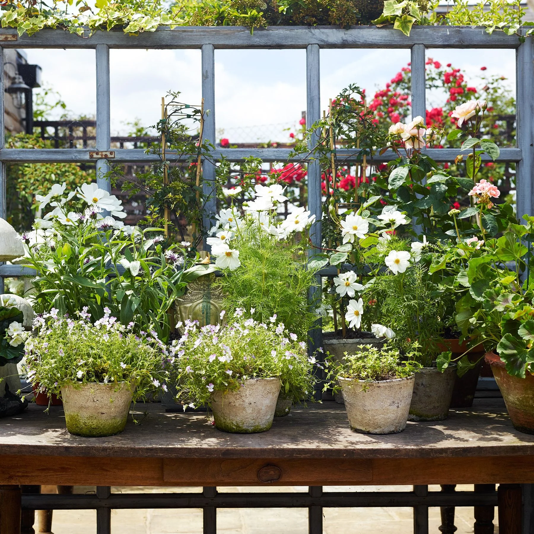 Spring Planting | Pretty Pots for Planting