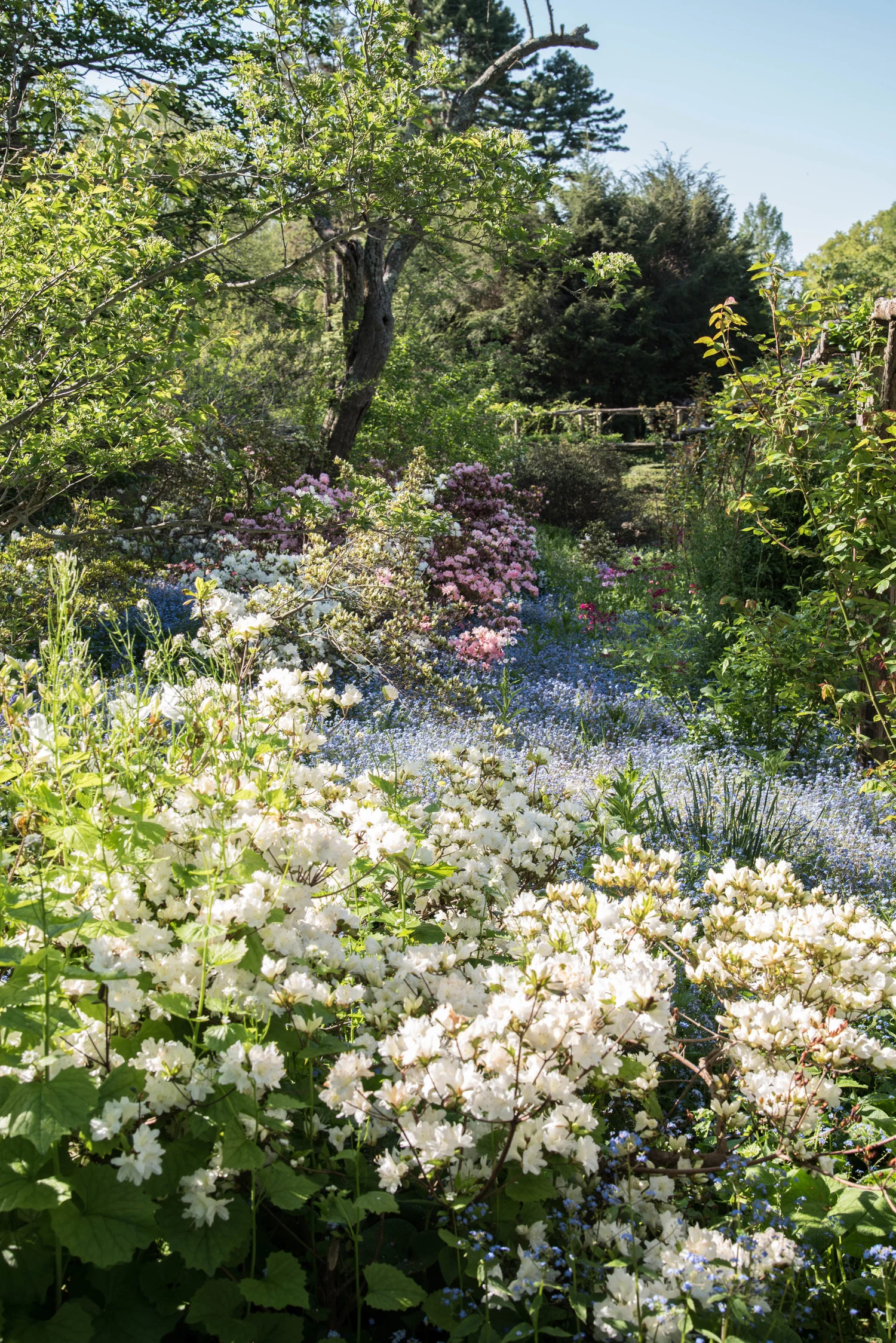 Cultivating a Flower Garden | Our Favorite Books
