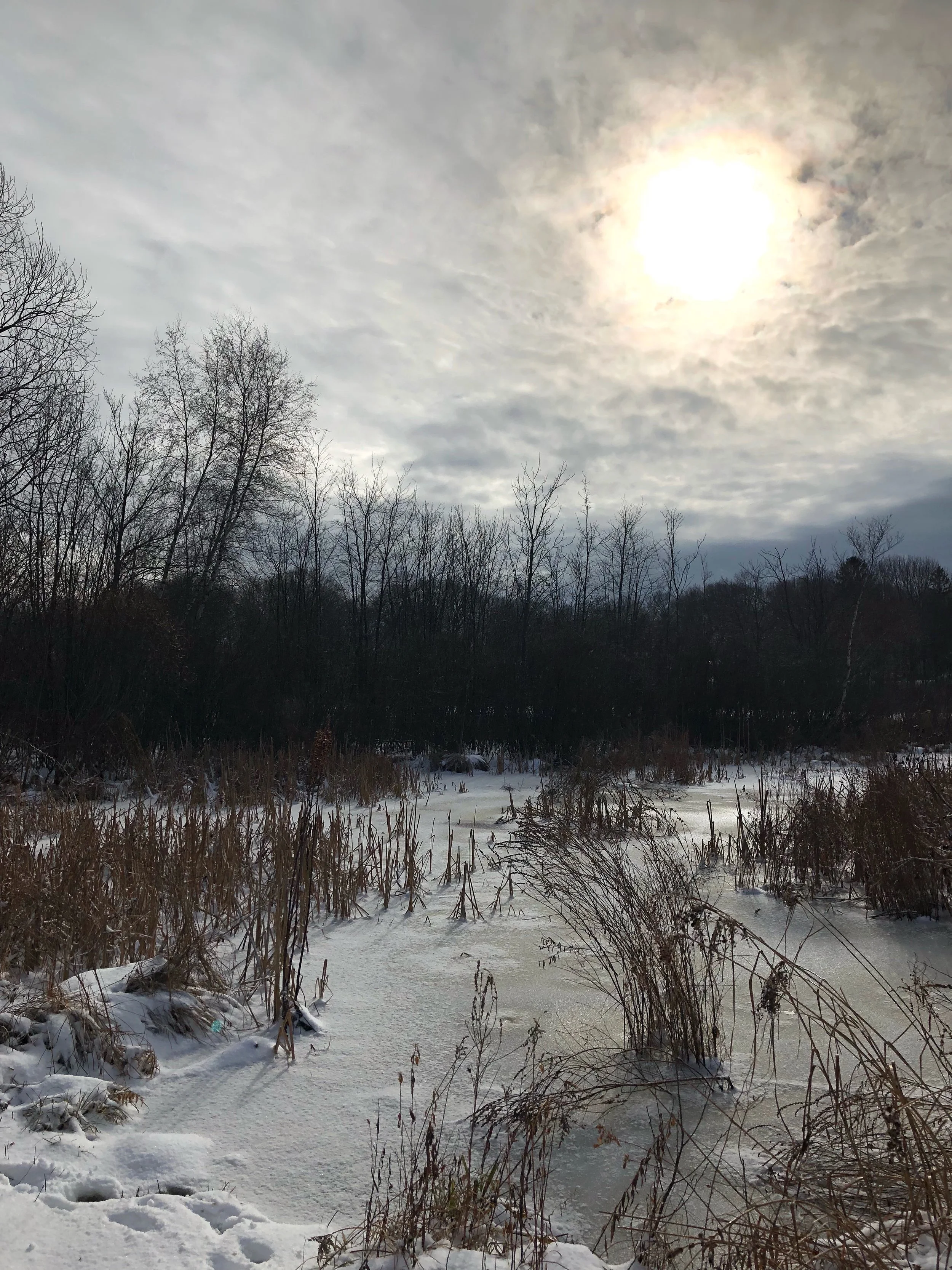 A New Year | Celebrating the Season that Is