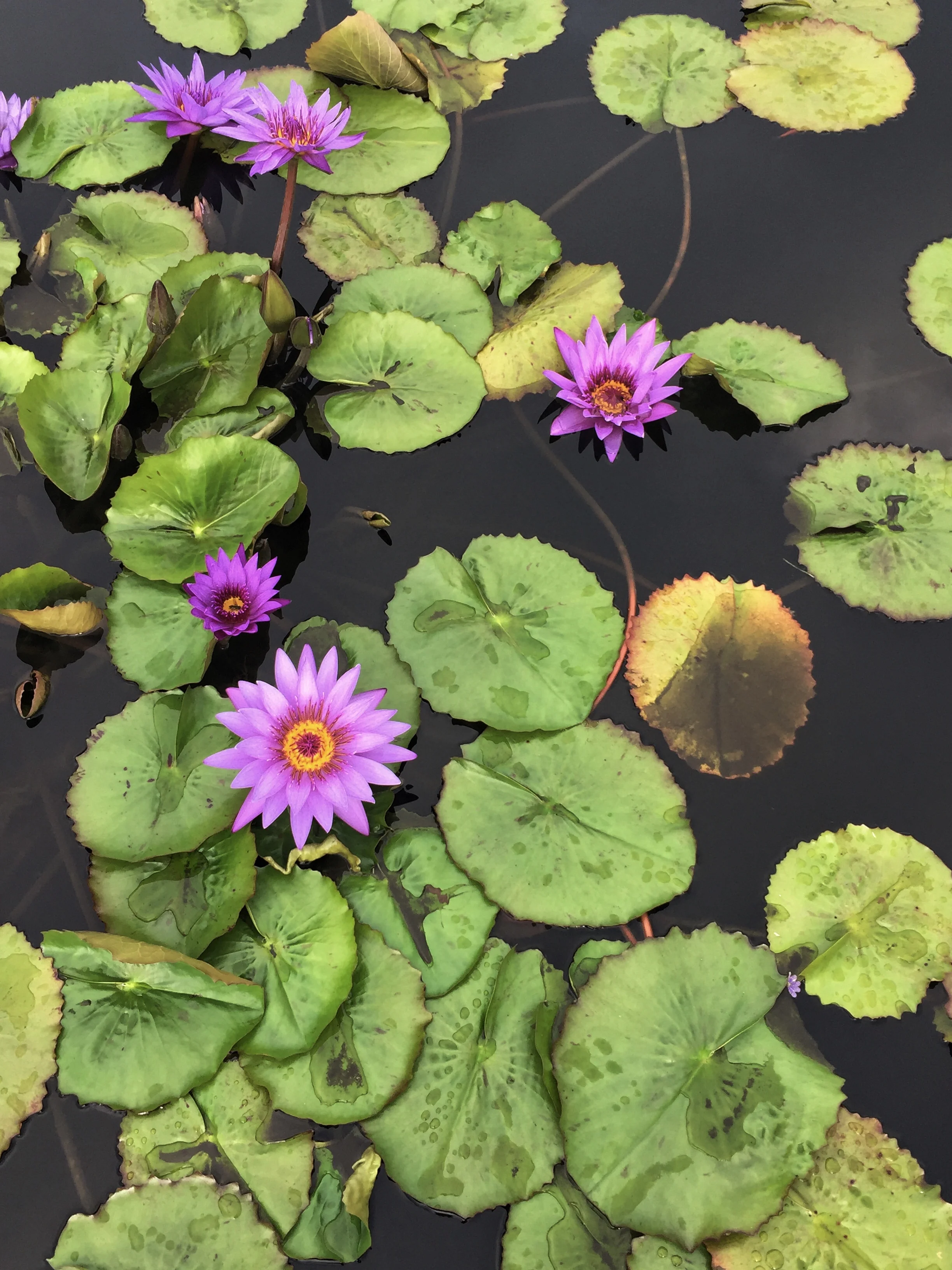 A Week of Reflection