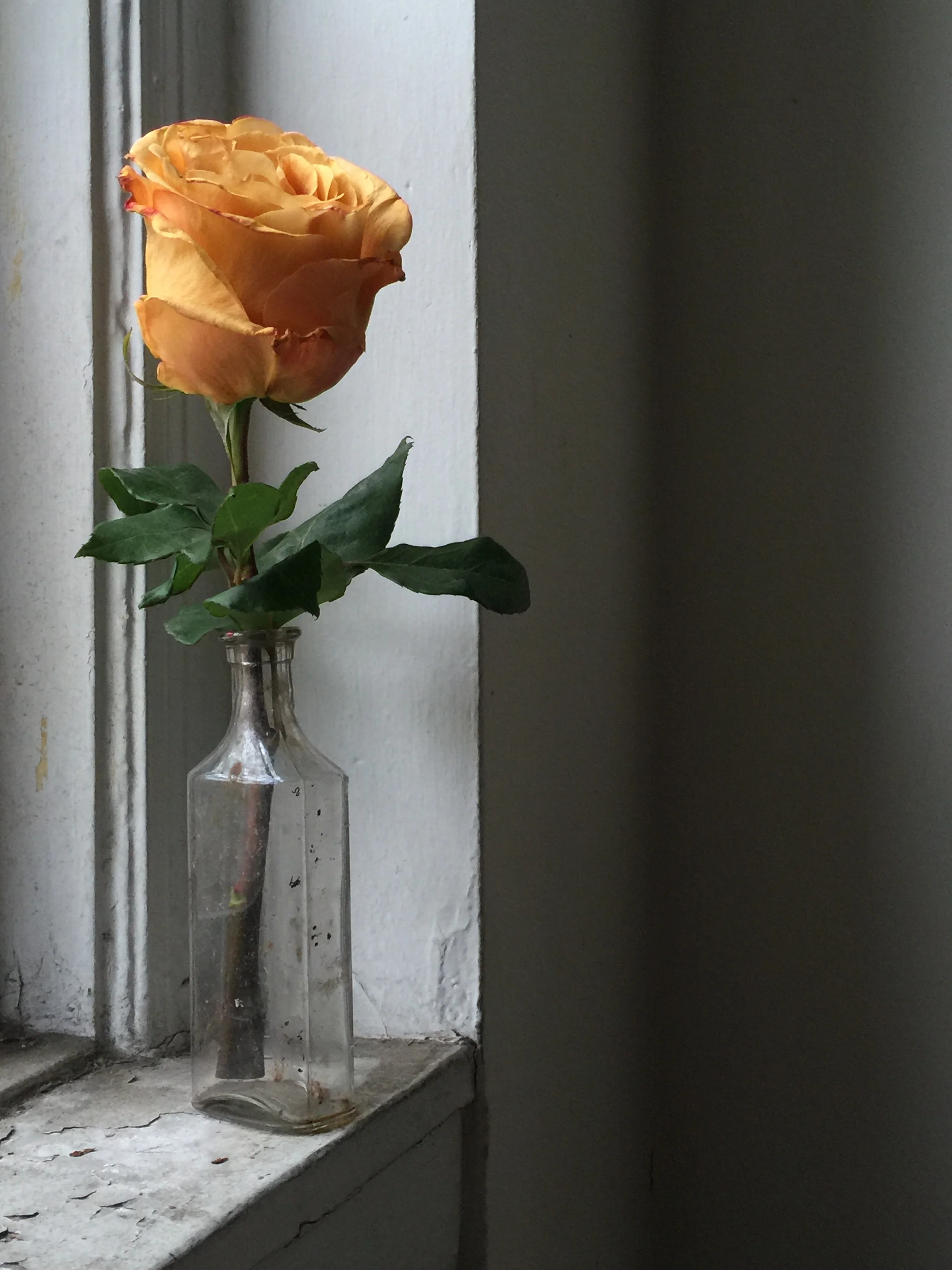 Prayers for Texas | How You Can Help in Harvey Relief 