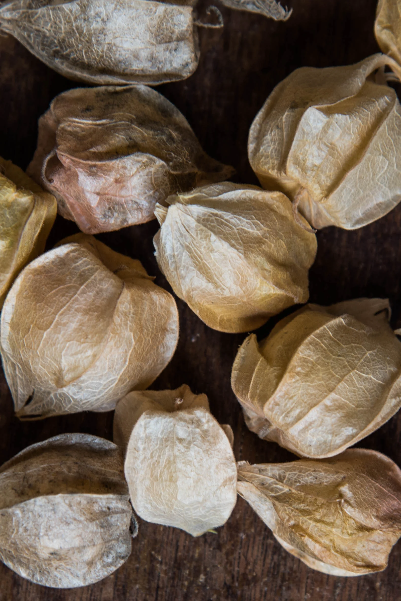 At the Market | Husk Cherries