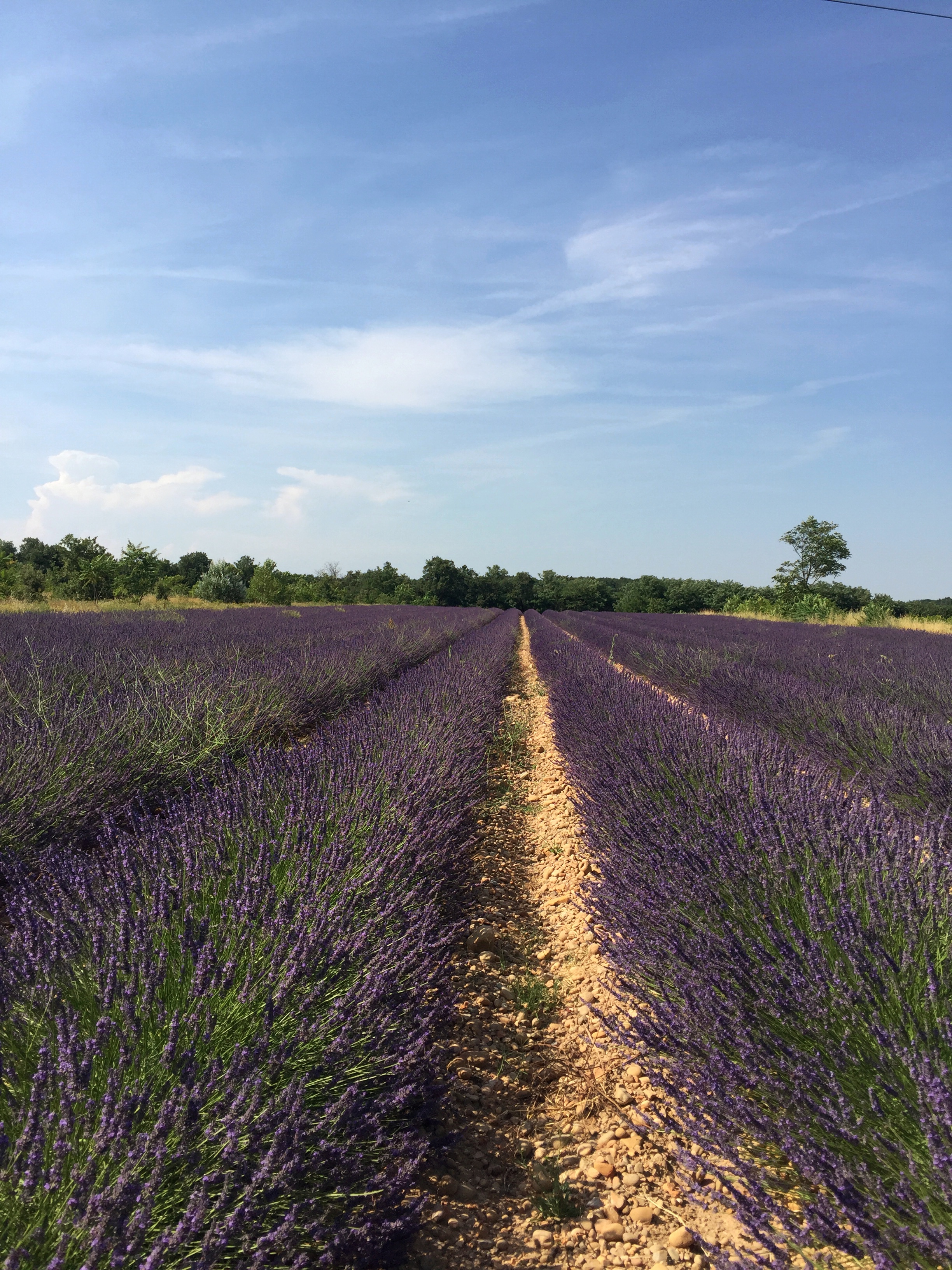 Step inside the R&amp;I World | No. 15