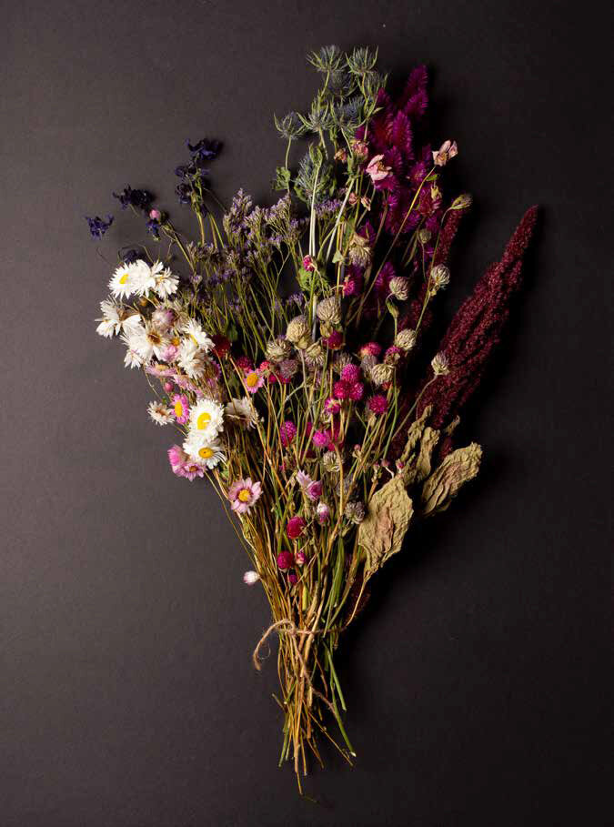 The Beauty of Dried Flowers With Carolyn Dunster, Author of 'Cut