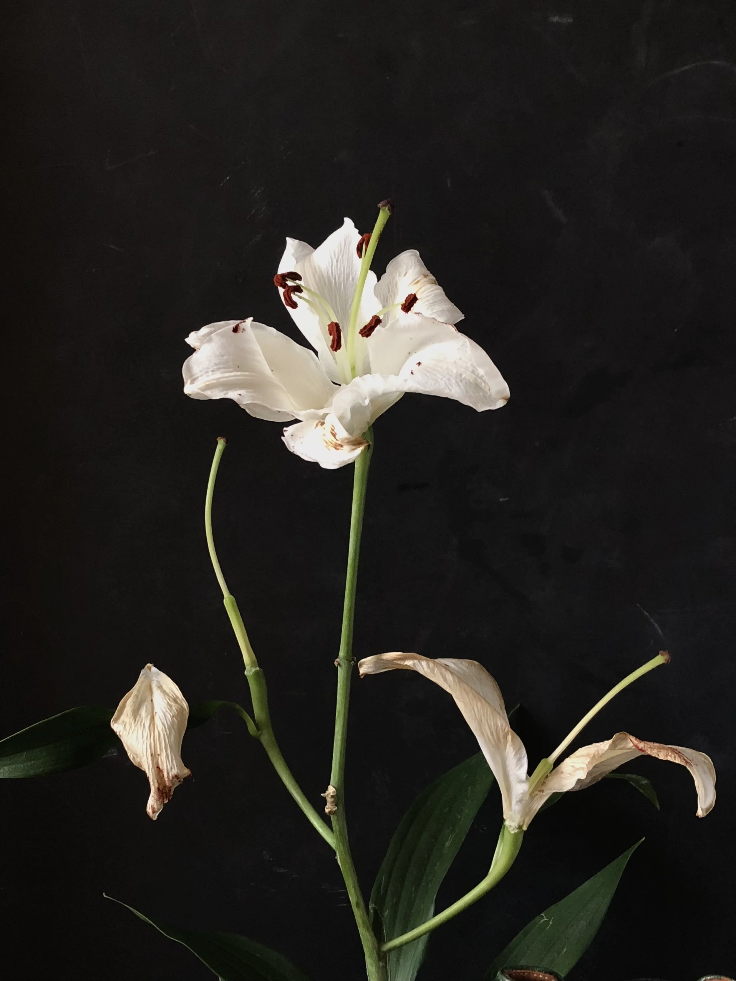 Burnout: The Guise of Anxiety and Depression