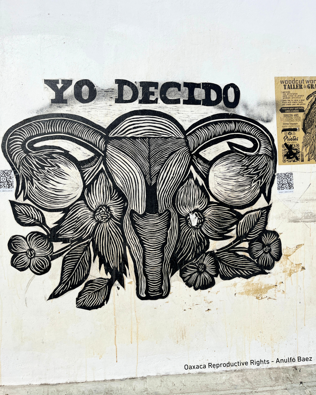 Oaxaca Reproductive Right.png