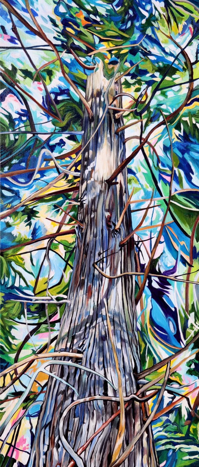 Uplifting Cedar (2026) 48x20 acrylic on canvas Taralee Guild (low res).JPG