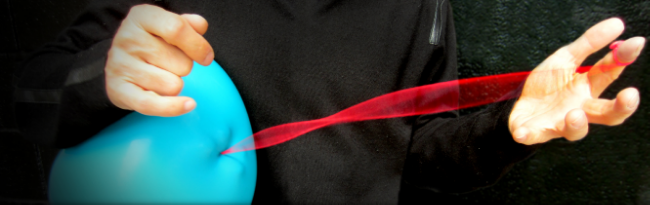 cropped-header2-1.jpg