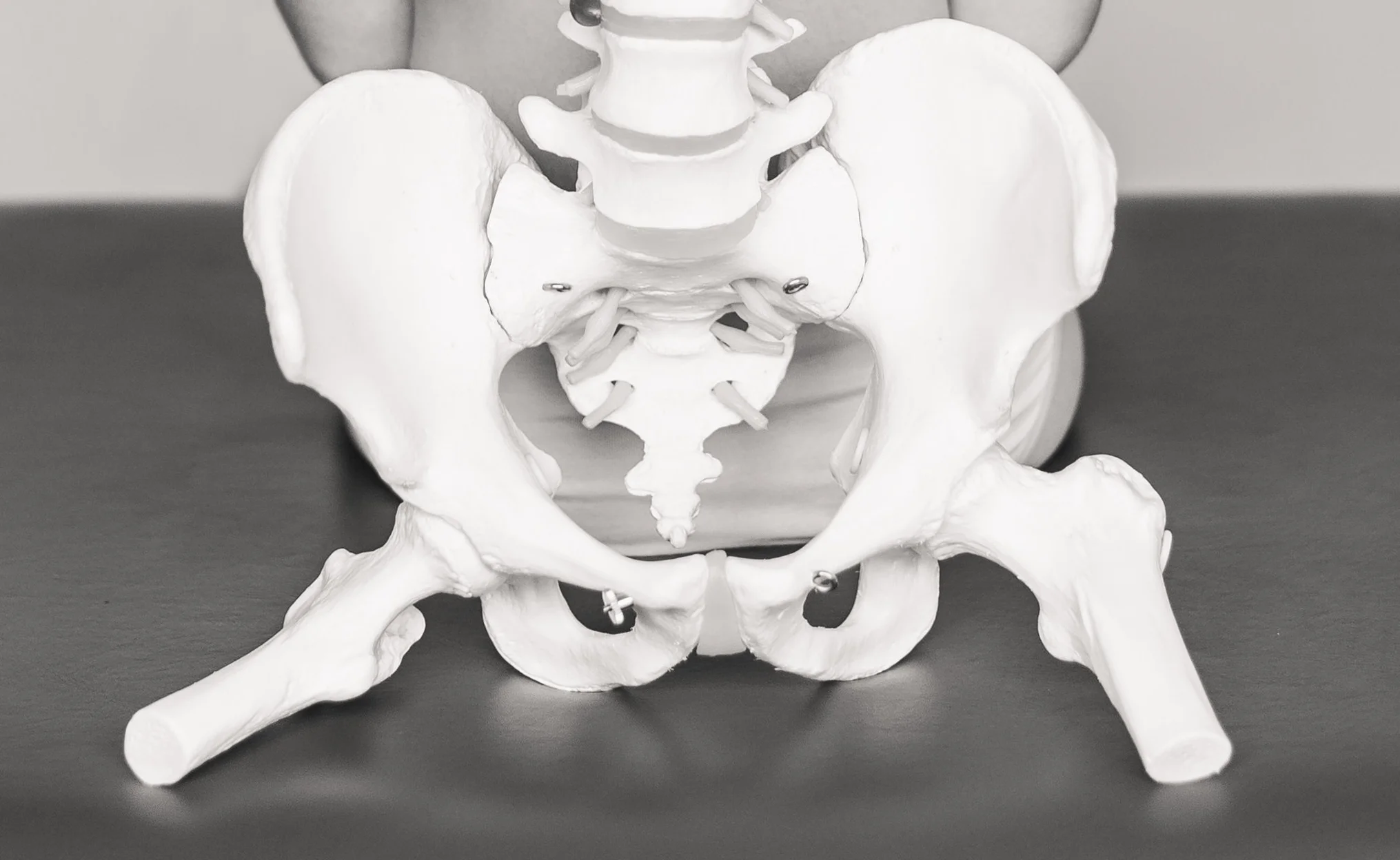 Pelvis-and-Chiropractic