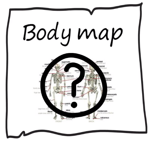 Chiro Connect Wanaka Perception