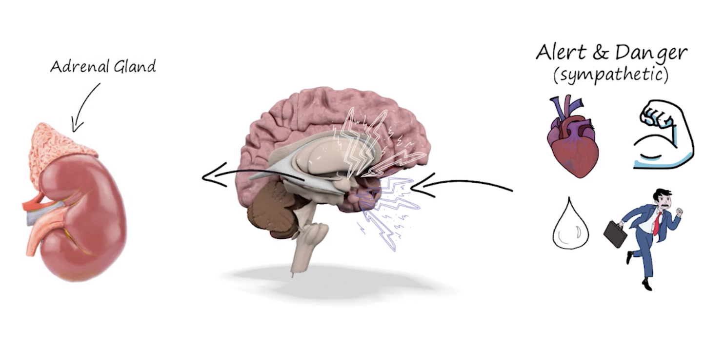 Stressed? Read on for ways to improve your resilience...