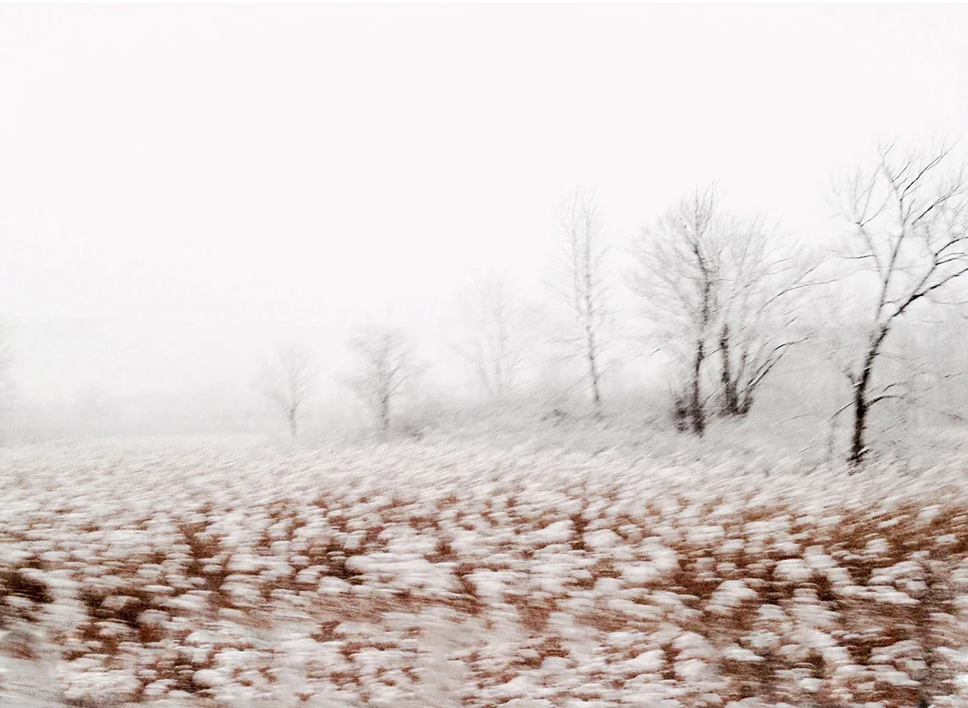 Winterscape 2 27 x 32” Archival Pigment Print on Hahnemühle German Etching Fine Art Paper, Rising Museum Acid Free Mounting Board, Acrylite Non-glare UV Filtering Plexi-glass. Oak Custom Frame