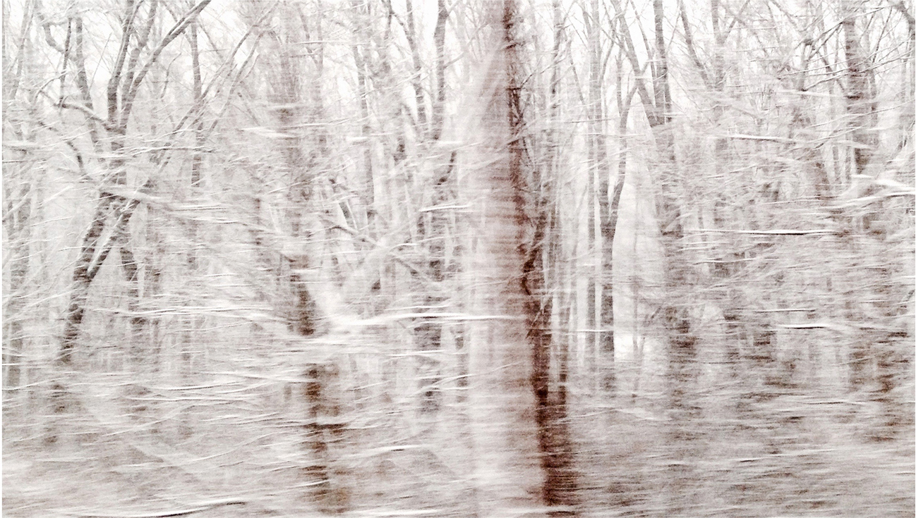   Winterscape 3  23 x 32” Archival Pigment Print on Hahnemühle German Etching Fine Art Paper, Rising Museum Acid Free Mounting Board, Acrylite Non-glare UV Filtering Plexi-glass. Oak Custom Frame   