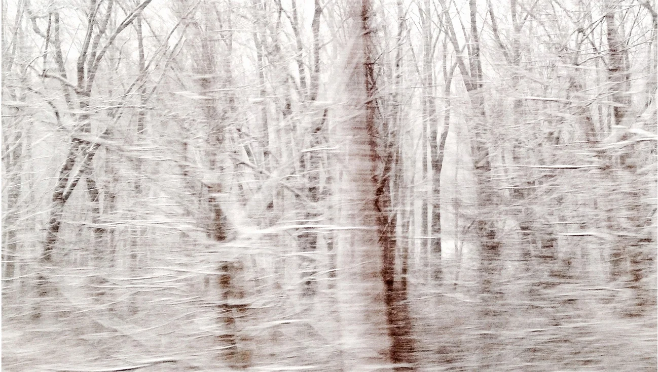 Winterscape 3 23 x 32” Archival Pigment Print on Hahnemühle German Etching Fine Art Paper, Rising Museum Acid Free Mounting Board, Acrylite Non-glare UV Filtering Plexi-glass. Oak Custom Frame