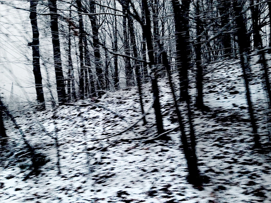 Winterscape 7 28 x 32” Archival Pigment Print on Hahnemühle German Etching Fine Art Paper, Rising Museum Acid Free Mounting Board, Acrylite Non-glare UV Filtering Plexi-glass. Oak Custom Frame
