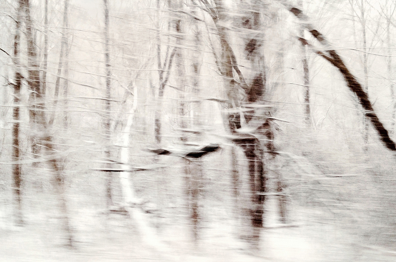   Winterscape 10  27 x 32” Archival Pigment Print on Hahnemühle German Etching Fine Art Paper, Rising Museum Acid Free Mounting Board, Acrylite Non-glare UV Filtering Plexi-glass. Oak Custom Frame   