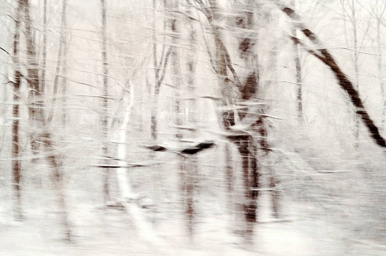 Winterscape 10 27 x 32” Archival Pigment Print on Hahnemühle German Etching Fine Art Paper, Rising Museum Acid Free Mounting Board, Acrylite Non-glare UV Filtering Plexi-glass. Oak Custom Frame