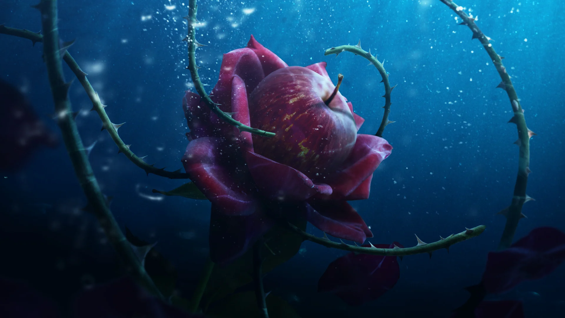  Disney Descendants 