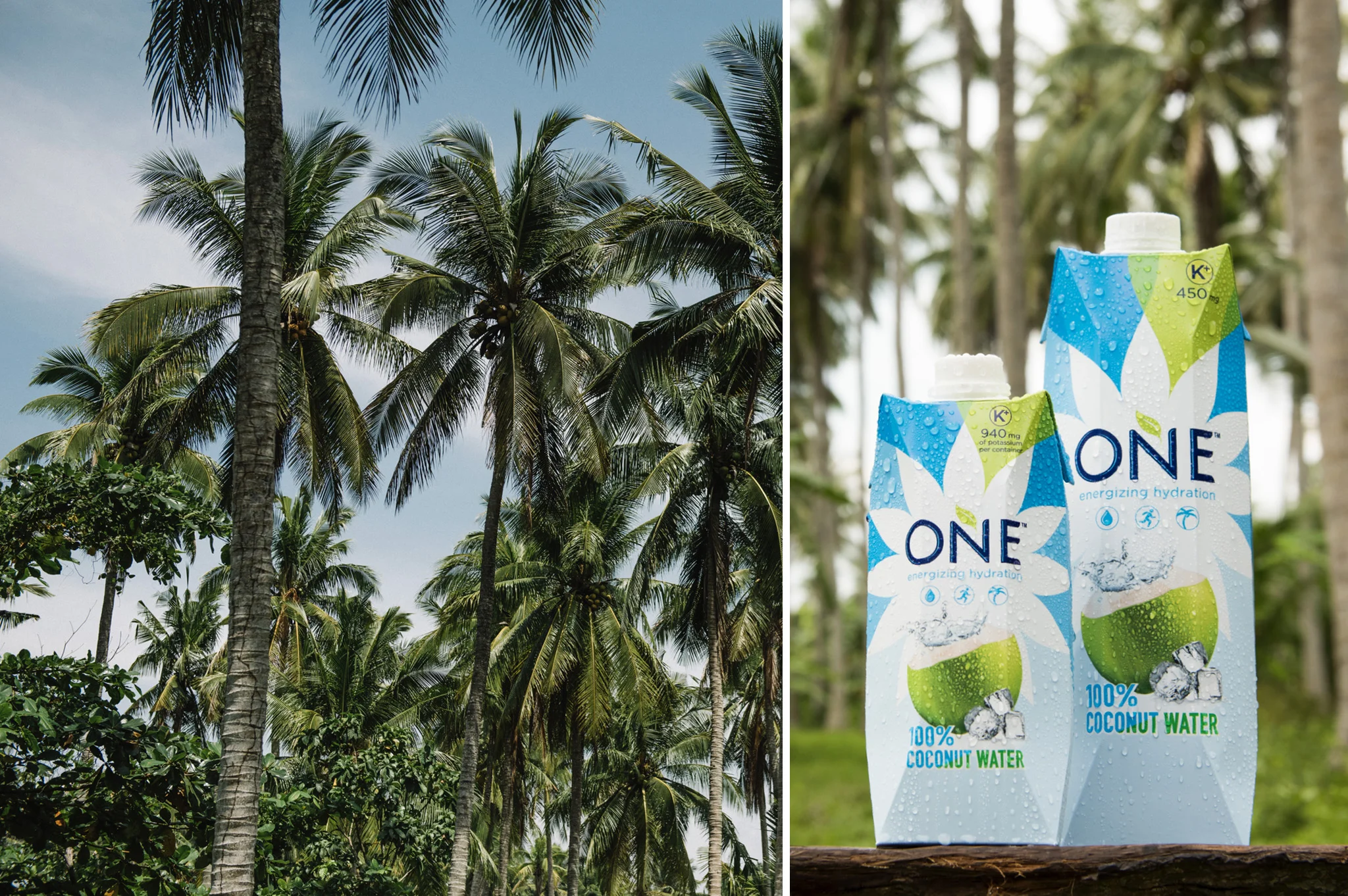 ONE Coco Water Selects_packaging.jpg