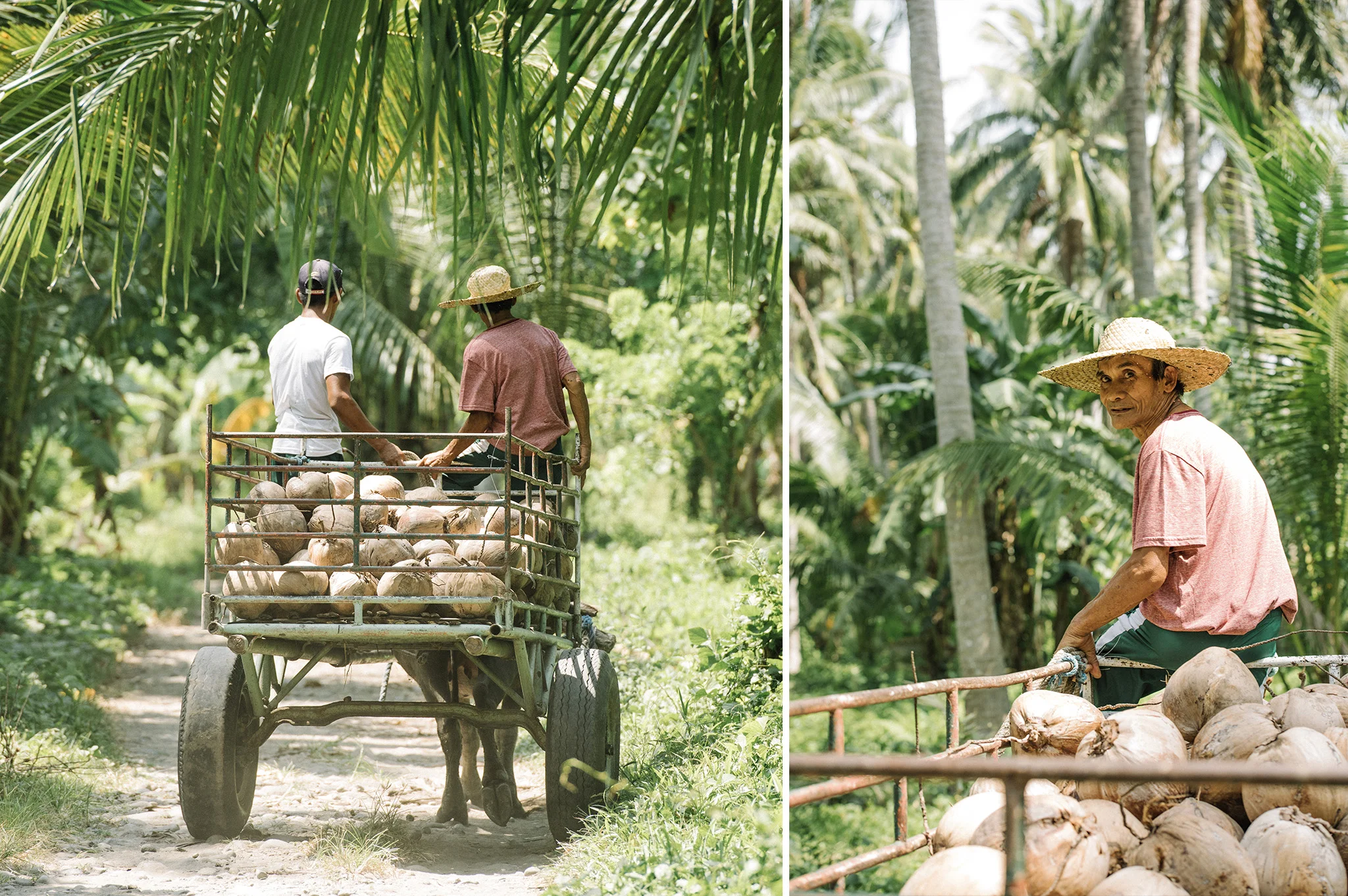 ONE Coco Water Selects_tata.jpg