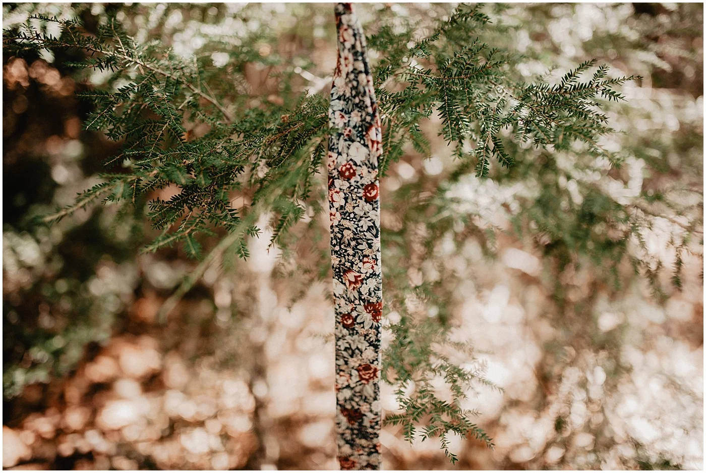 jennaborstphotography-8857.jpg