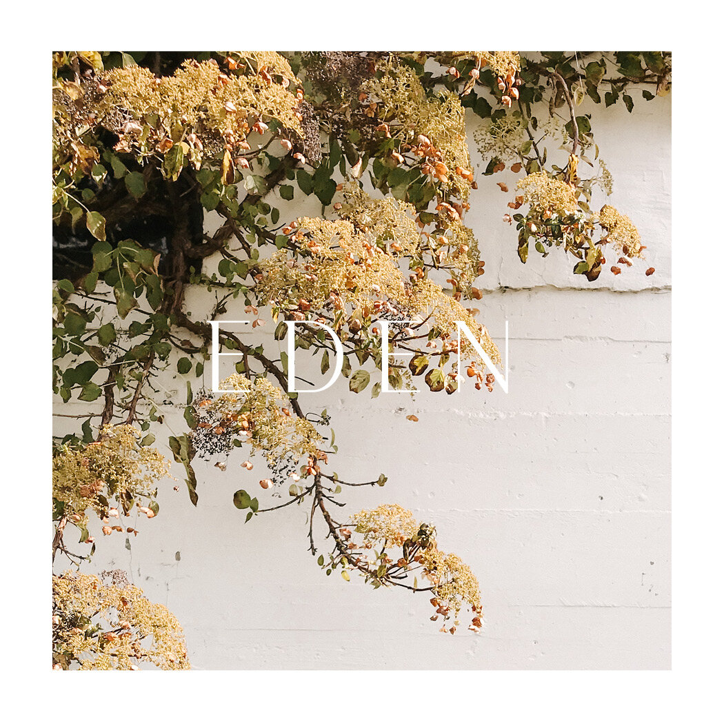 EDEN |  Single Mobile Preset