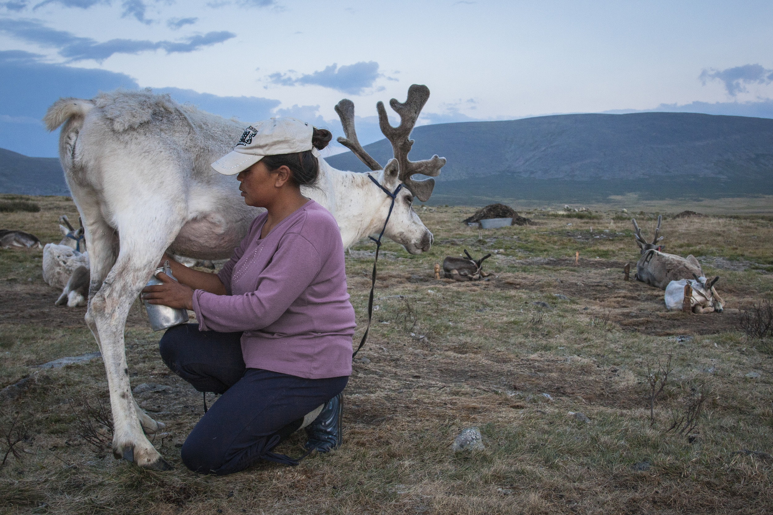 201406123 Reindeer herders_1316.jpg