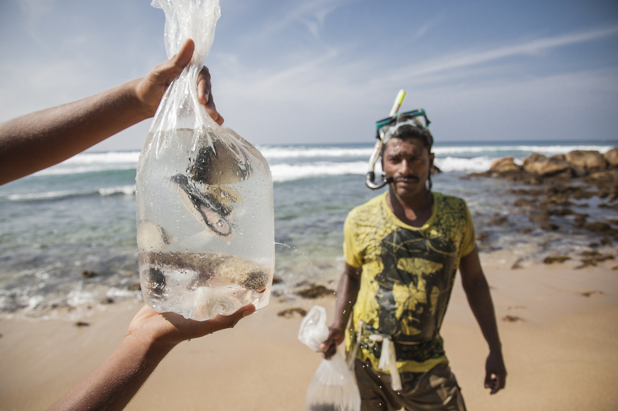 20140528 Sri Lanka Fisherman_5897.jpg