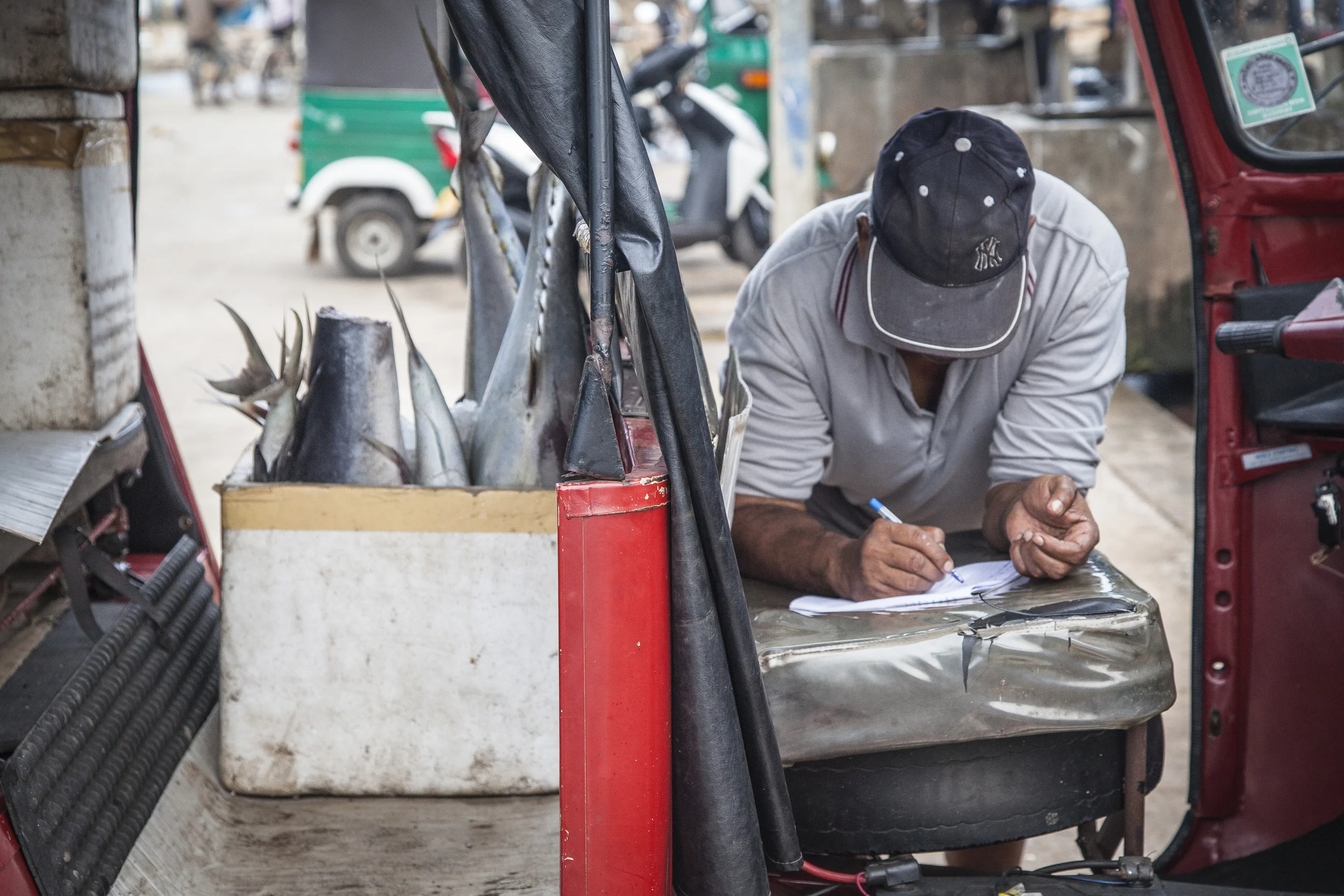 20140603 Negambo-7259.jpg